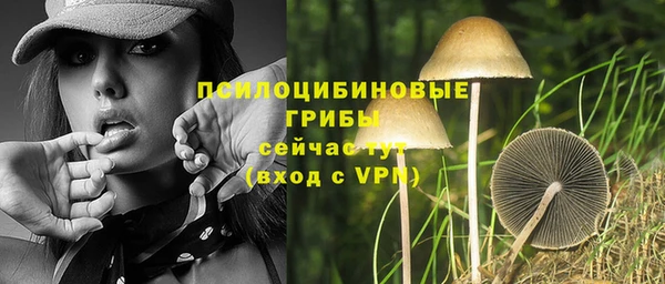 a pvp Лиски