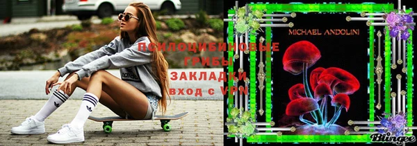 a pvp Лиски