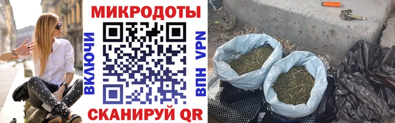 Галлюциногенные грибы Magic Shrooms  магазин продажи   Томилино 