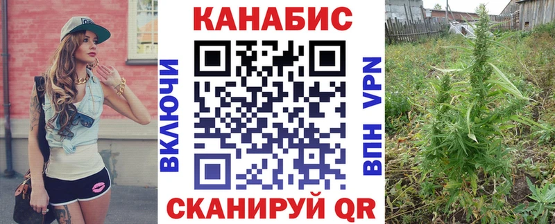 Шишки марихуана VHQ  Томилино 